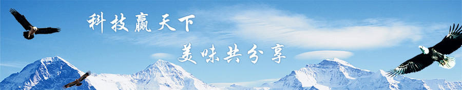 內(nèi)頁廣告